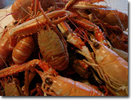 Lobsters