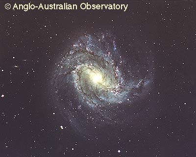 NGC 5236, M83