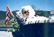 Ingrid: 17. Mai (Norwegian National Day)