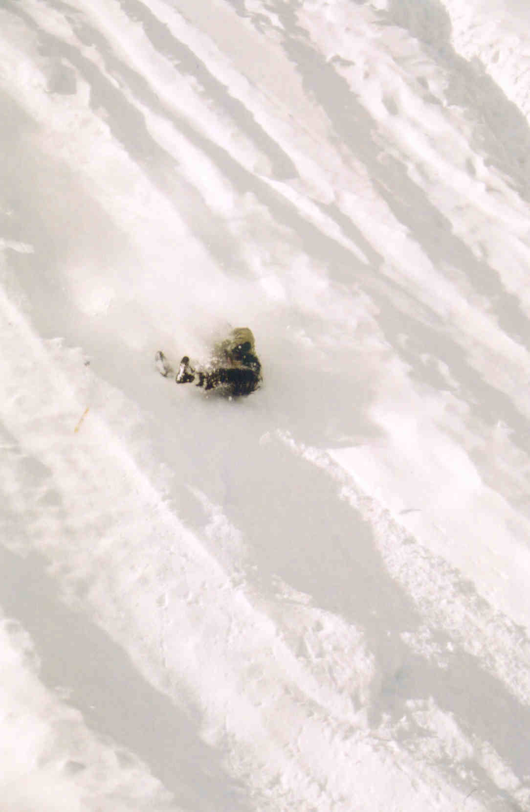 sledding
