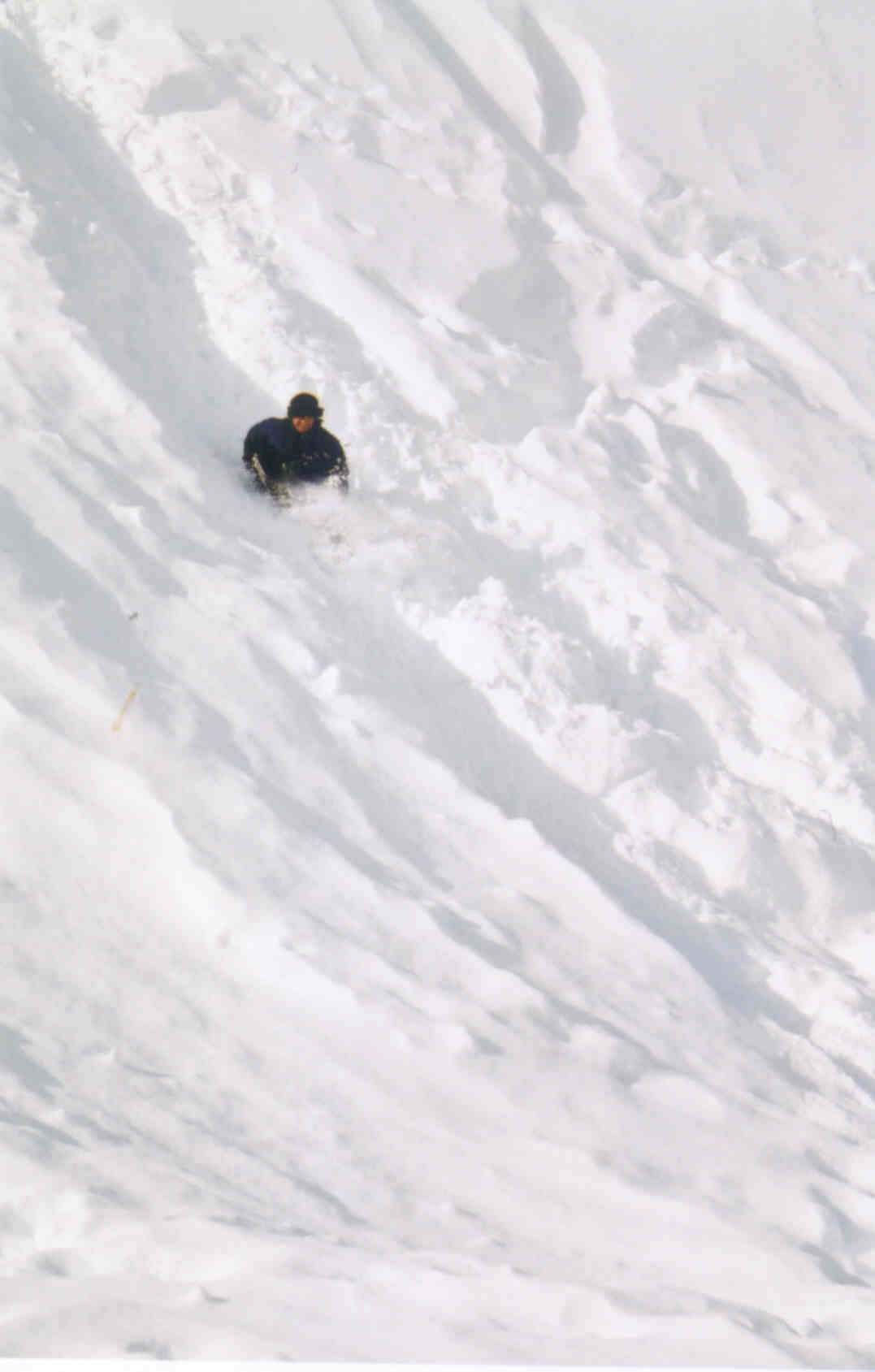 sledding