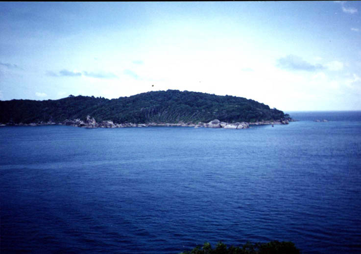 Ming24