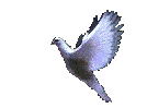 Dove.gif (21280 bytes)