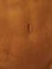 navel3.jpg (1167 bytes)