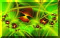 Aphids