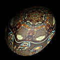 Egg1