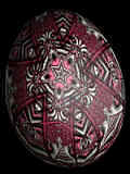 Egg11