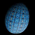 Egg5