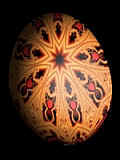 Egg8