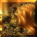 Honey harvest