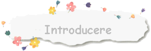 Introducere