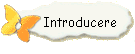 Introducere