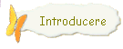 Introducere