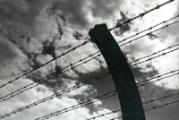 Photo of barbed wire fence at Auschwitz concentration camp