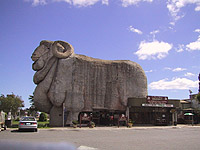 Photo of a the Big Merino in Goulburn