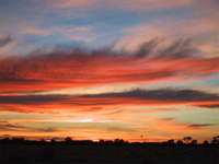 Photo of a sunrise near Alice Springs in Australia