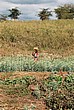 2002-Tanz-04-05-ontheway