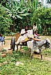 2002-Tanz-14-06-family-transport