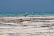 2002-Tanz-16-01-dhows-Jambiani