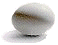 egg = 