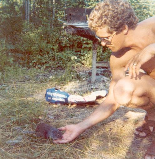 Feeding the wildlife while camping