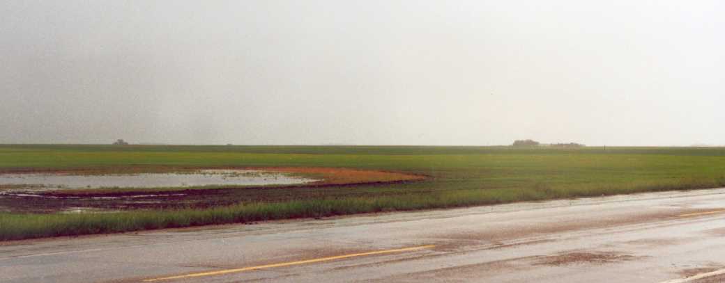 Farm land in late spring, near Regina, on a rainy day