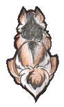 Coyotedodger
