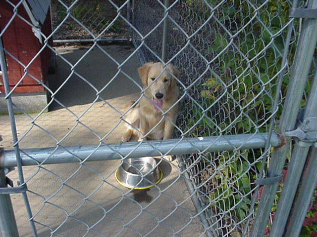 Neo in his pen