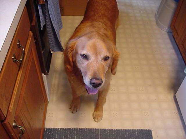 Smiling Barney