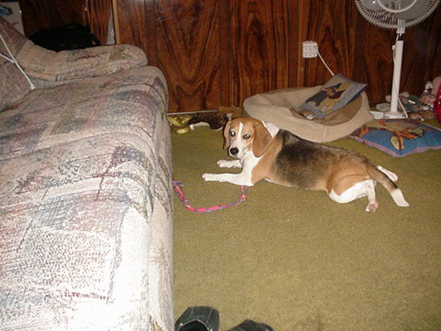 Patchy chillin'