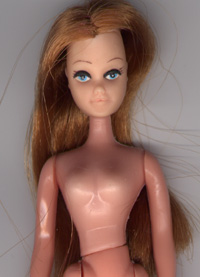 This is Tina with Brown hair.  Please forgive the smudge on her face, from my scanner.