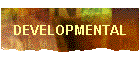 DEVELOPMENTAL