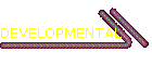 DEVELOPMENTAL