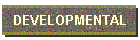 DEVELOPMENTAL