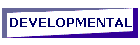 DEVELOPMENTAL