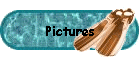 Pictures