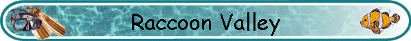 Raccoon Valley