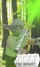 Hermit - Eremita - DOYLE - USA