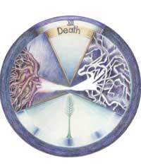TAROT Songs for the Journey Home