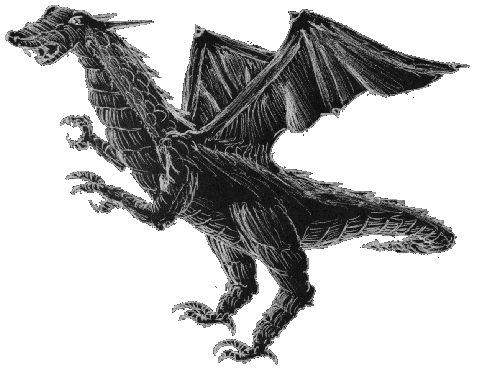 A Dragon