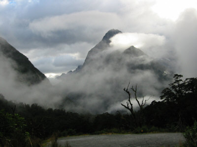 Mystic Mist