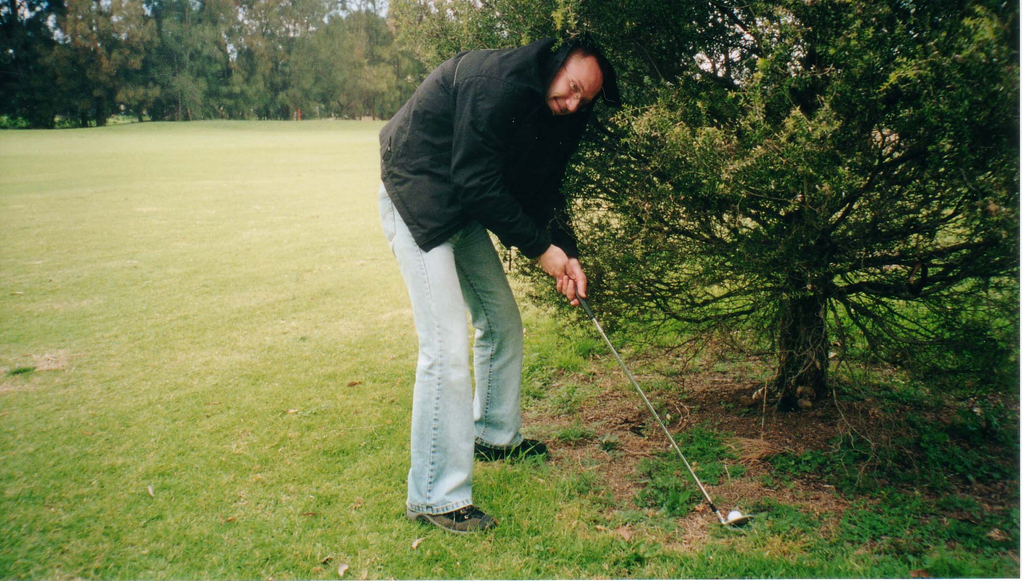 Trying to get the ball out of the tree