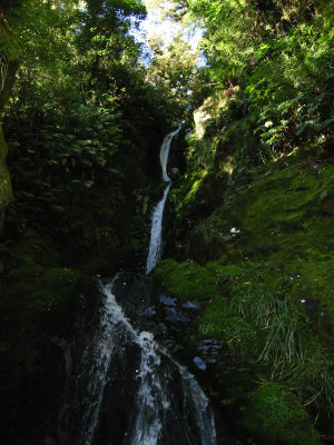 Stream