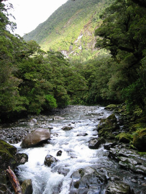 The Chasm
