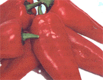 redpepper.gif (12565 bytes)