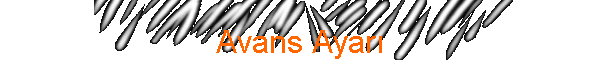 Avans Ayar