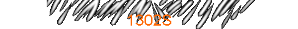1302S