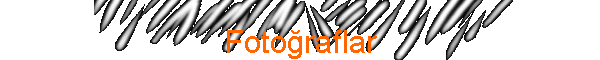 Fotoraflar