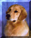 TeddyTimer.JPG (144243 bytes)