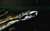 Boaconstrictorortonii1.jpg (63607 byte)